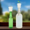 botanical bottles chilli lifestyle v3