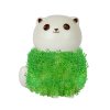 cat chia planter product v2