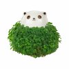 cat chia planter product v3