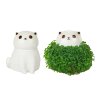 cat chia planter product v4