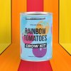 rainbow tomato tin lifestyle v3