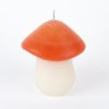 mystic mushroom candle product v4