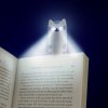 cat reading light lifestyle v4
