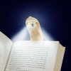 sloth reading light lifestyle v4