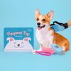dog pamper kit lifestyle v2%20square%20blue