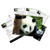 Adopt%20a%20Panda%20Inserts sm