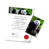 Adopt%20a%20Panda%20%20After%20Reg lg