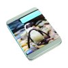 Adopt%20a%20Penguin%20Tin lg
