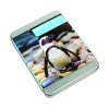 Adopt%20a%20Penguin%20Tin sm