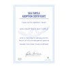 adopt a sea turtle product v2