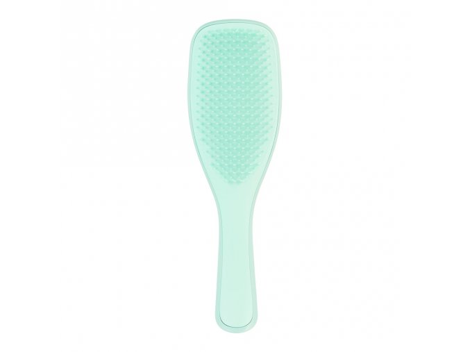 tangle teezer wet detangler fine fragile jade lagoon.png