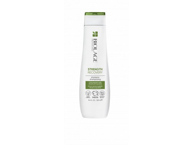 BIOLAGE 2022 EU RECOVERY Shampoo 250ml RGB