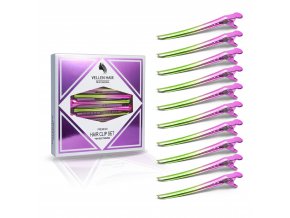 Ombre Pink Green Clips 0