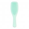 tangle teezer wet detangler fine fragile jade lagoon.png