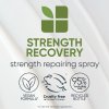 Biolage 2023 EU Strength Recovery Repairing Spray ATF Sustainability 2000x2000