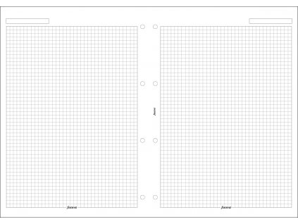 Filofax, Papíry pro diáře, čtverečkované, A4, bílá