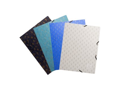 X55450E web 01