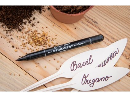 f91271533c157038d55c6f70395a9824