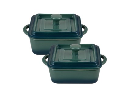 96809899072fae bg 13364 gr pro1