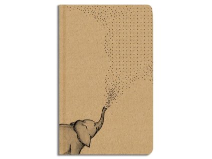 Images%5CCatalog%5CImg600%5Cuvodni notesy but1 1