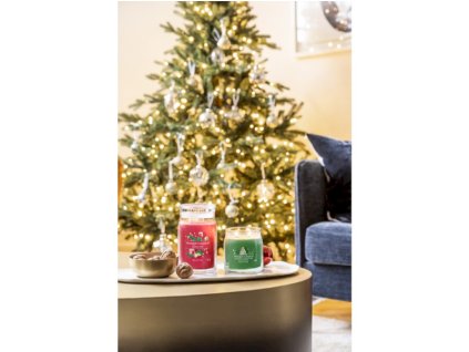 67dc046cae13501478ab2c1411ff250b w800 41210 shimmering str. sklo