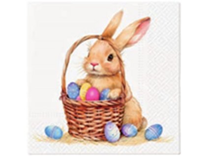 cbb0d597cec421508590bc15bf312f70 w800 45009 45009