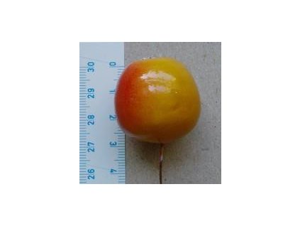 jablko z vaty, 30 mm, 4 ks