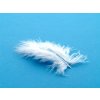 10 x peří Marabu bílé, malé