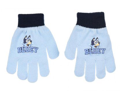 RUKAVICE BLUYE (Velikost uni)