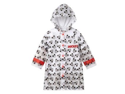 plastenka mickey a