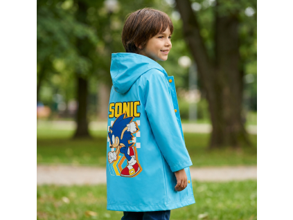 169sonic