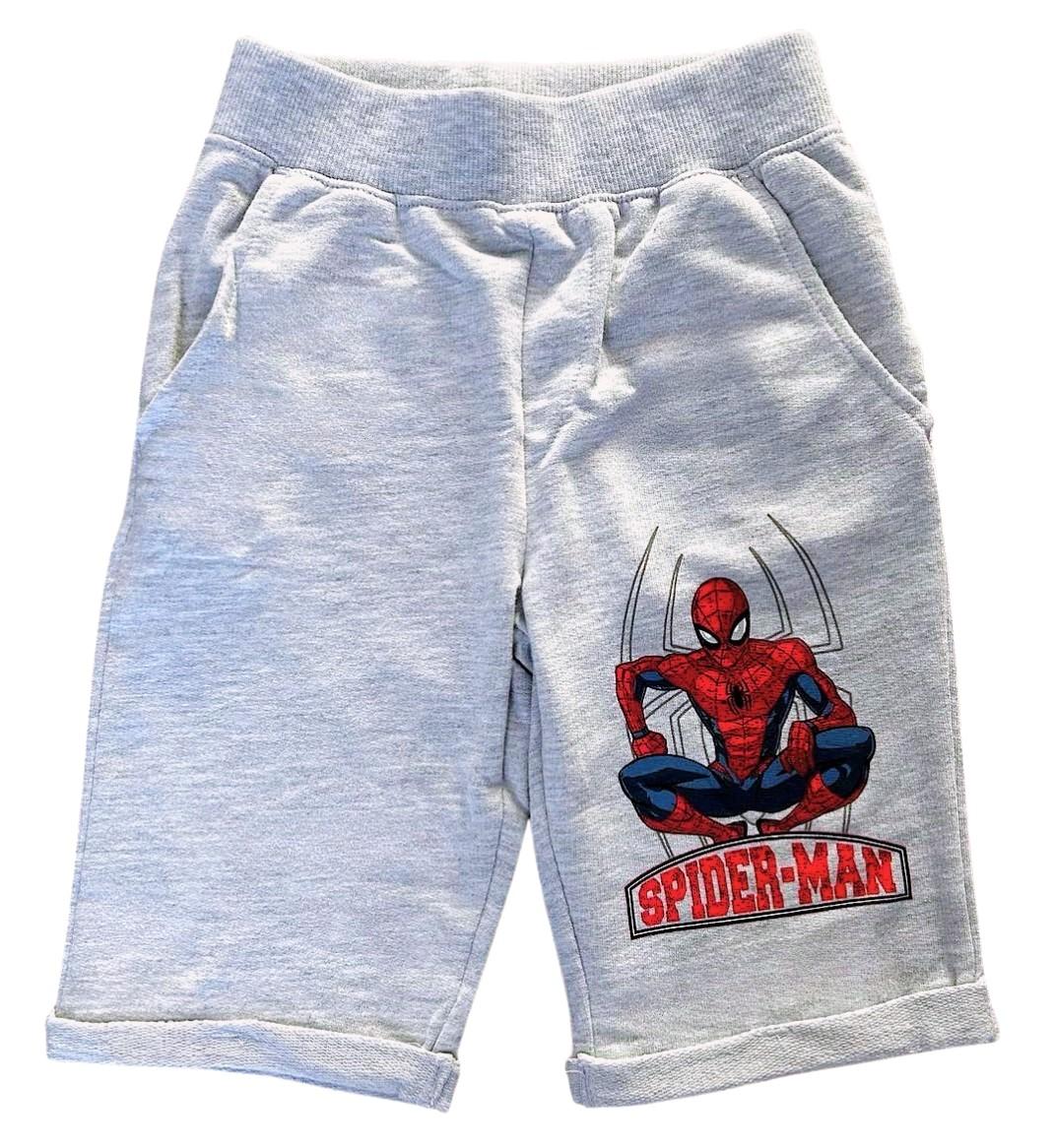 BERMUDY SPIDERMAN, 8