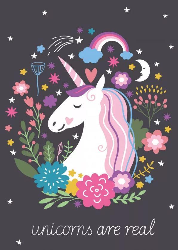 FLÍSOVÁ DEKA UNICORN, uni