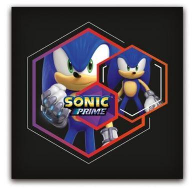 POLŠTÁŘ SONIC, uni