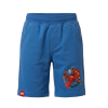 60753 blue2