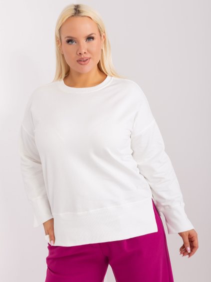 SMETANOVÁ BASIC MIKINA