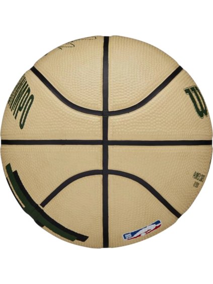BASKETBALOVÝ MÍČ WILSON NBA PLAYER ICON GIANNIS ANTETOKOUNMPO MINI BALL