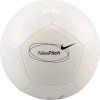 FOTBALOVÝ MÍČ NIKE PITCH TEAM BALL (Velikost ONE SIZE)