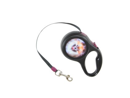 Dây dắt chó rút 5m cho chó đến 15kg hộp nhựa hình chó