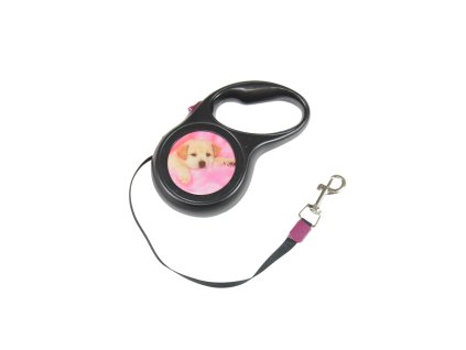 Dây dắt chó rút 5m cho chó đến 12kg hộp nhựa hình chó