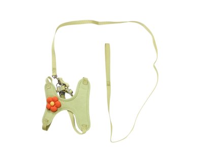 Bộ dây dắt chó + dây cương cỡ L (bịch: 12 bộ)