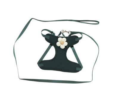 Bộ dây dắt chó + dây cương cỡ XL (bịch: 12 bộ)
