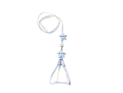 Bộ dây cương + dây dắt chó 120x1cm (bịch: 12 bộ)