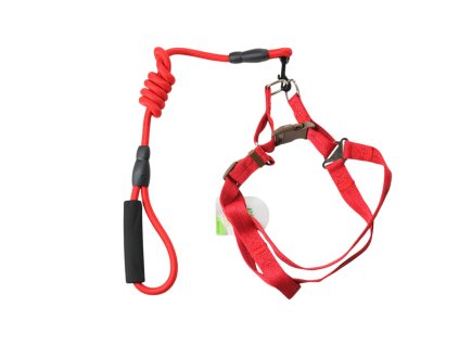 Bộ dây cương 2.5cm + dây dắt chó 120x1.2cm (bịch: 12 bộ)