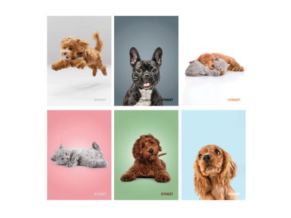 Vở viết A4 56 trang 80g/m2 không dòng kẻ bìa mịn chó  (bịch: 10ks)