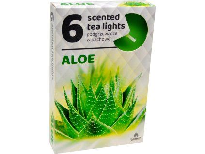 aloe