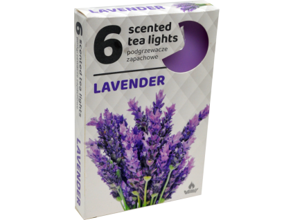 lavender 600x912