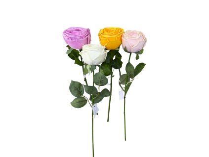 Hoa hồng thường( hoa giả)