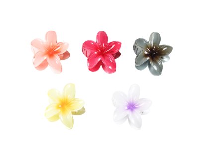 Cặp ngoạm hoa sứ 8cm kẹp vỉ nhựa treo (bịch: 12ks mix 5 màu)