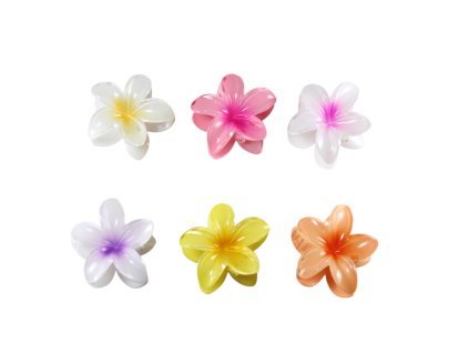 Cặp ngoạm hoa sứ 8cm kẹp vỉ nhựa treo (bịch: 12ks mix 6 màu)